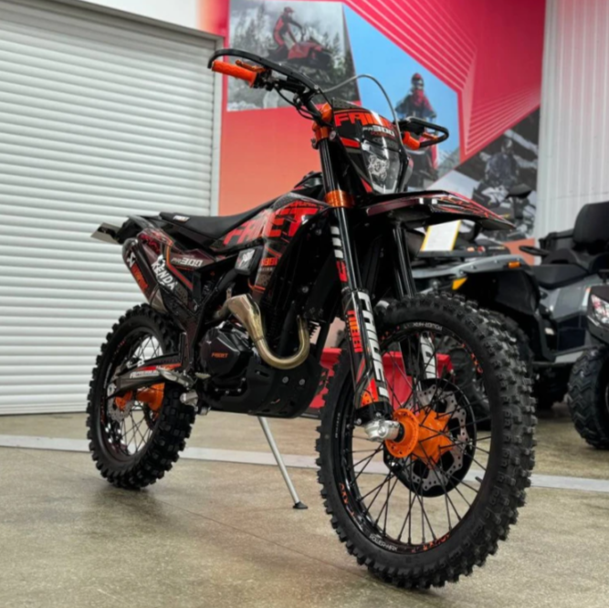 Кроссовый мотоцикл FAIDET PR300 MAX WP в Пушкино