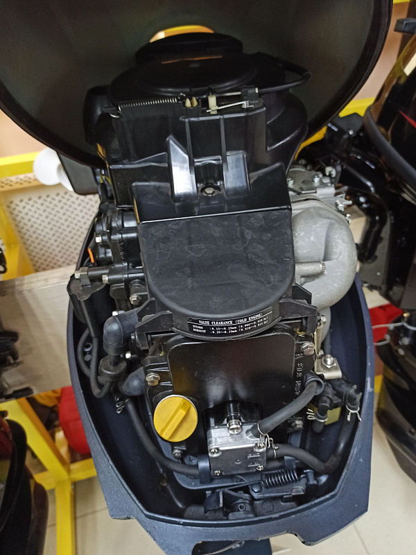 Лодочный мотор BREEZE F9,9S (4х тактный) в Пушкино