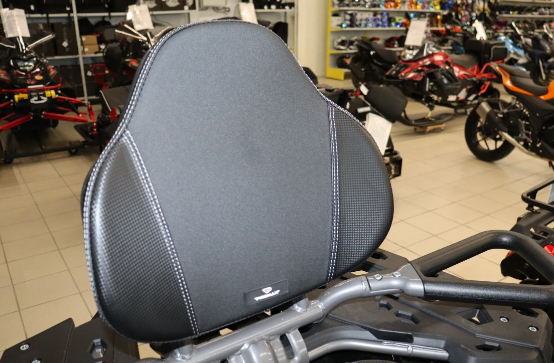 Квадроцикл PROMAX RENEGADE 300 LONG WINCH PRO (2025) в Пушкино