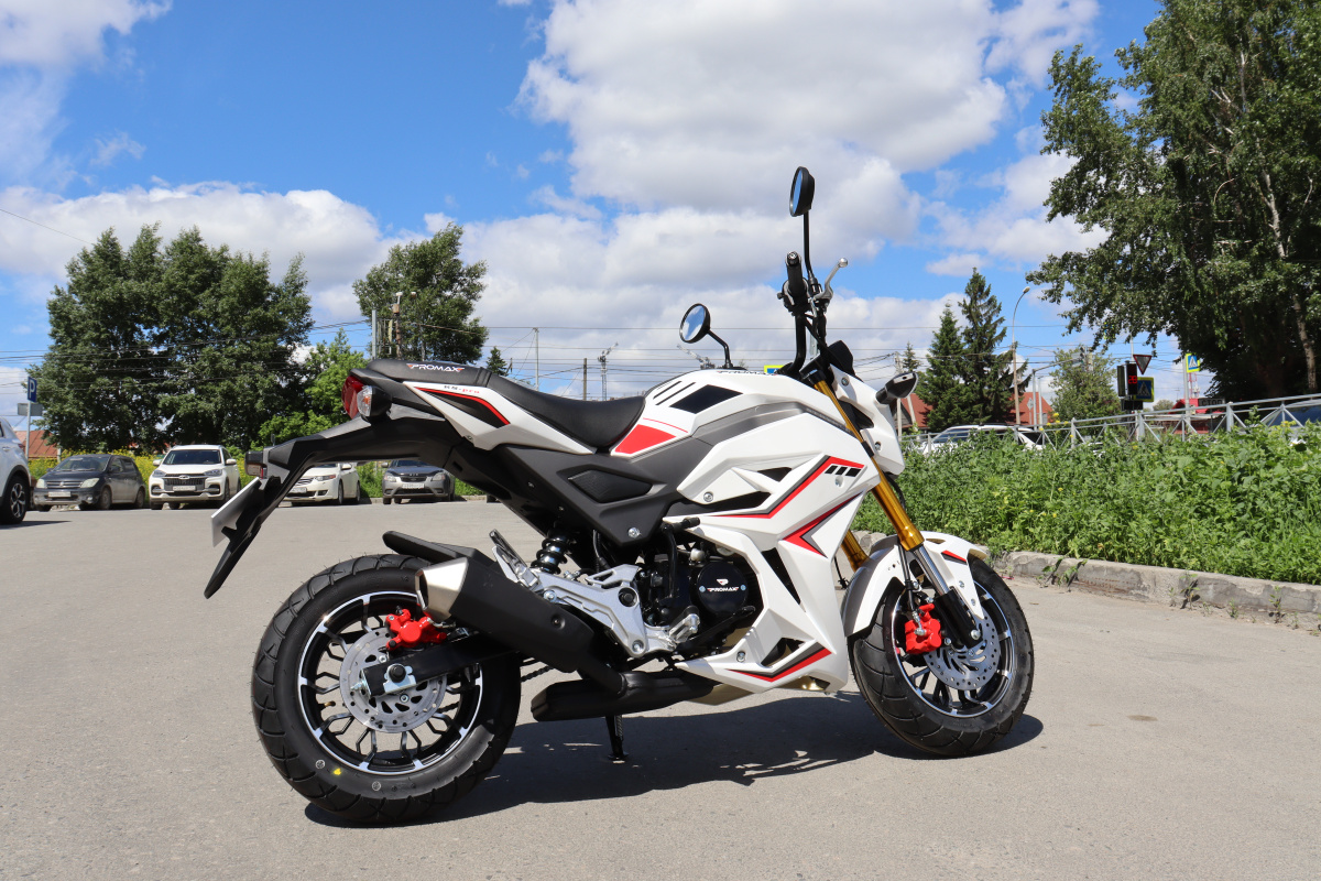 Мотоцикл PROMAX STRYKER 200(49) 2.0 в Пушкино