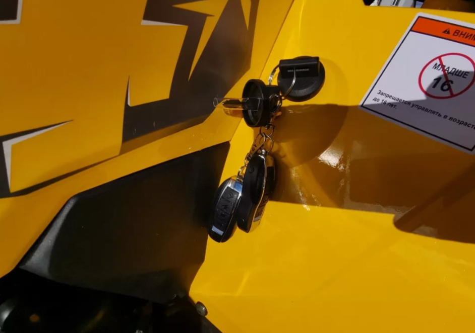 Квадроцикл MOTOLAND (МОТОЛЕНД) VOX200 WILD TRACK X PRO (баланс. вал) в Пушкино