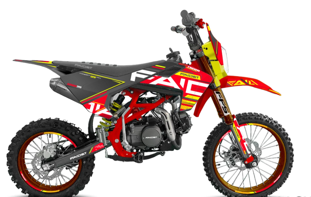 Питбайк FAIDET KAYOT 150E-PRO 19/16 в Пушкино