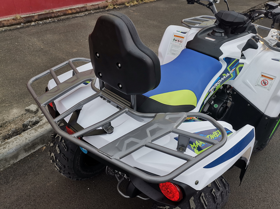 Квадроцикл PROMAX RENEGADE 280 LUX (2025) в Пушкино