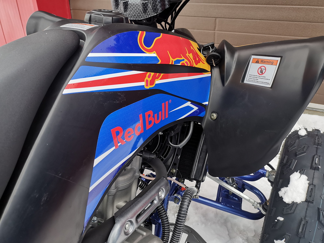 Квадроцикл PROMAX RAPTOR 300 NEW RedBull в Пушкино