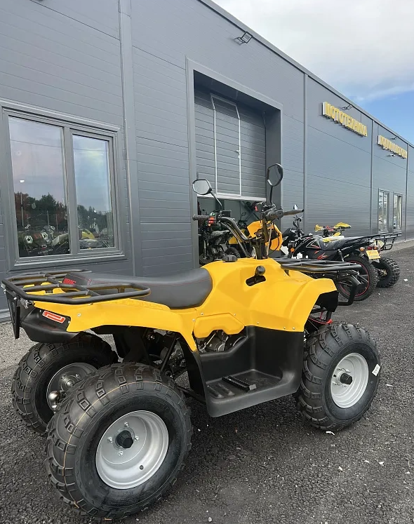 КВАДРОЦИКЛ IRBIS ATV 250  в Пушкино