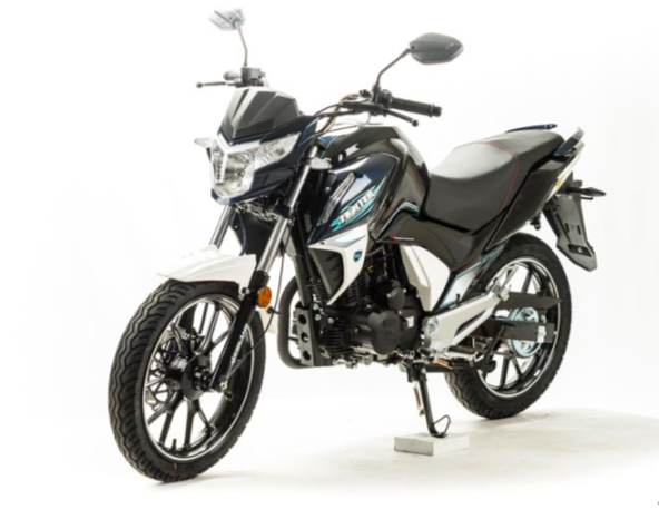 Мотоцикл MOTOLAND (МОТОЛЕНД) FIGHTER 250 в Пушкино