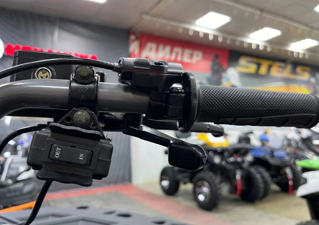 Квадроцикл PROMAX RENEGADE 300 LONG WINCH PRO (2025) в Пушкино