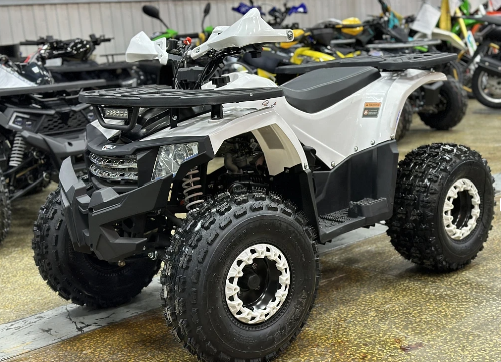 Квадроцикл PROMAX WILD 2.0 190 в Пушкино