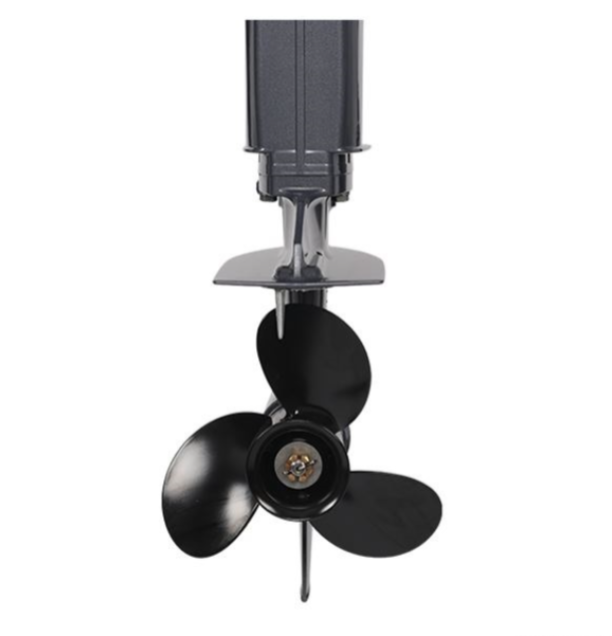 Лодочный мотор ALLFA CG Т40FW S в Пушкино