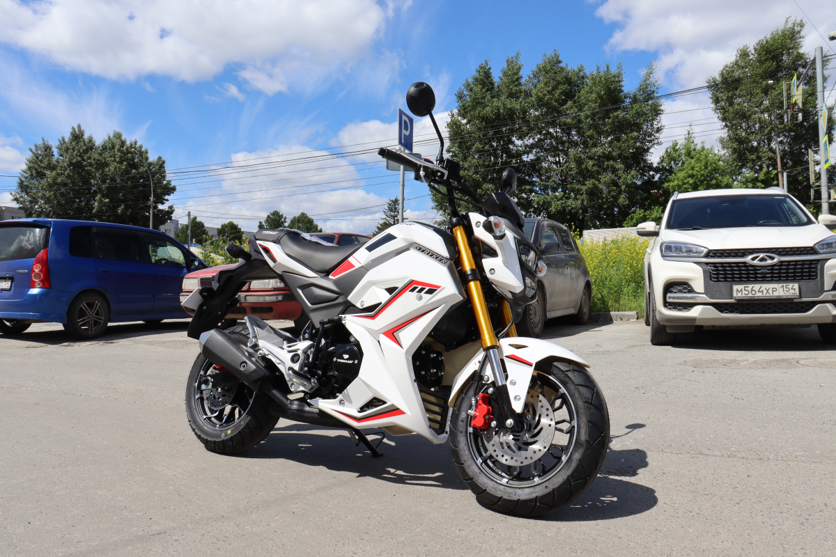 Мотоцикл PROMAX STRYKER 200(49) 2.0 в Пушкино