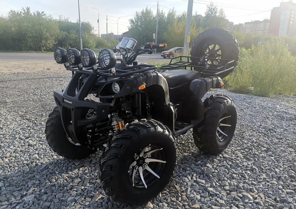 Квадроцикл PROMAX LEO 300 Max (кардан) в Пушкино