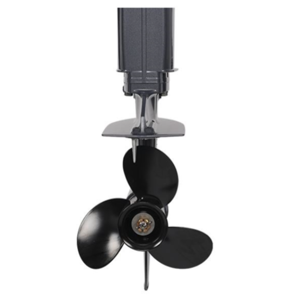 Лодочный мотор ALLFA CG Т40FWT S в Пушкино