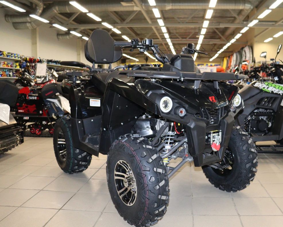 Квадроцикл PROMAX RENEGADE 300 LONG WINCH PRO (2025) в Пушкино