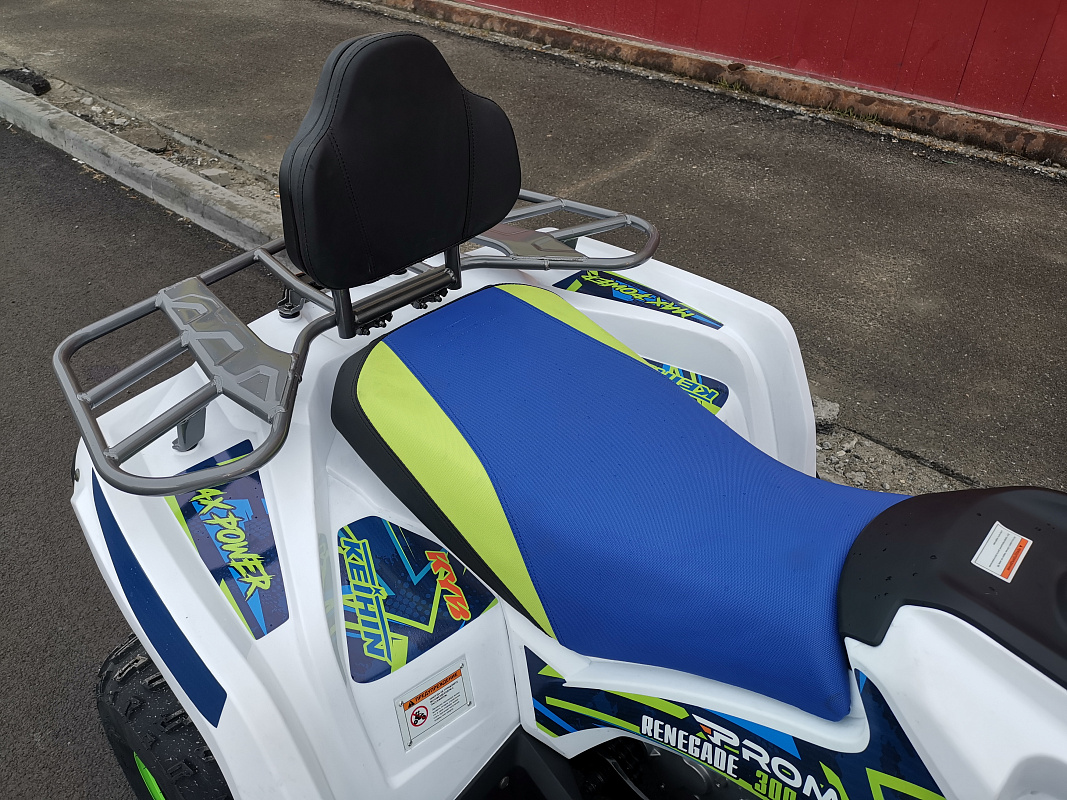 Квадроцикл PROMAX RENEGADE 280 LUX (2025) в Пушкино