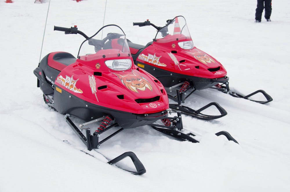 Снегоход РМ ТАЙГА РЫСЬ в Пушкино