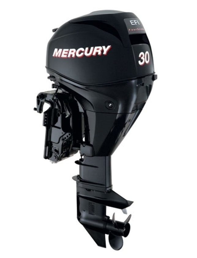 ЛОДОЧНЫЙ МОТОР MERCURY  F 30 ELH GA EFI в Пушкино