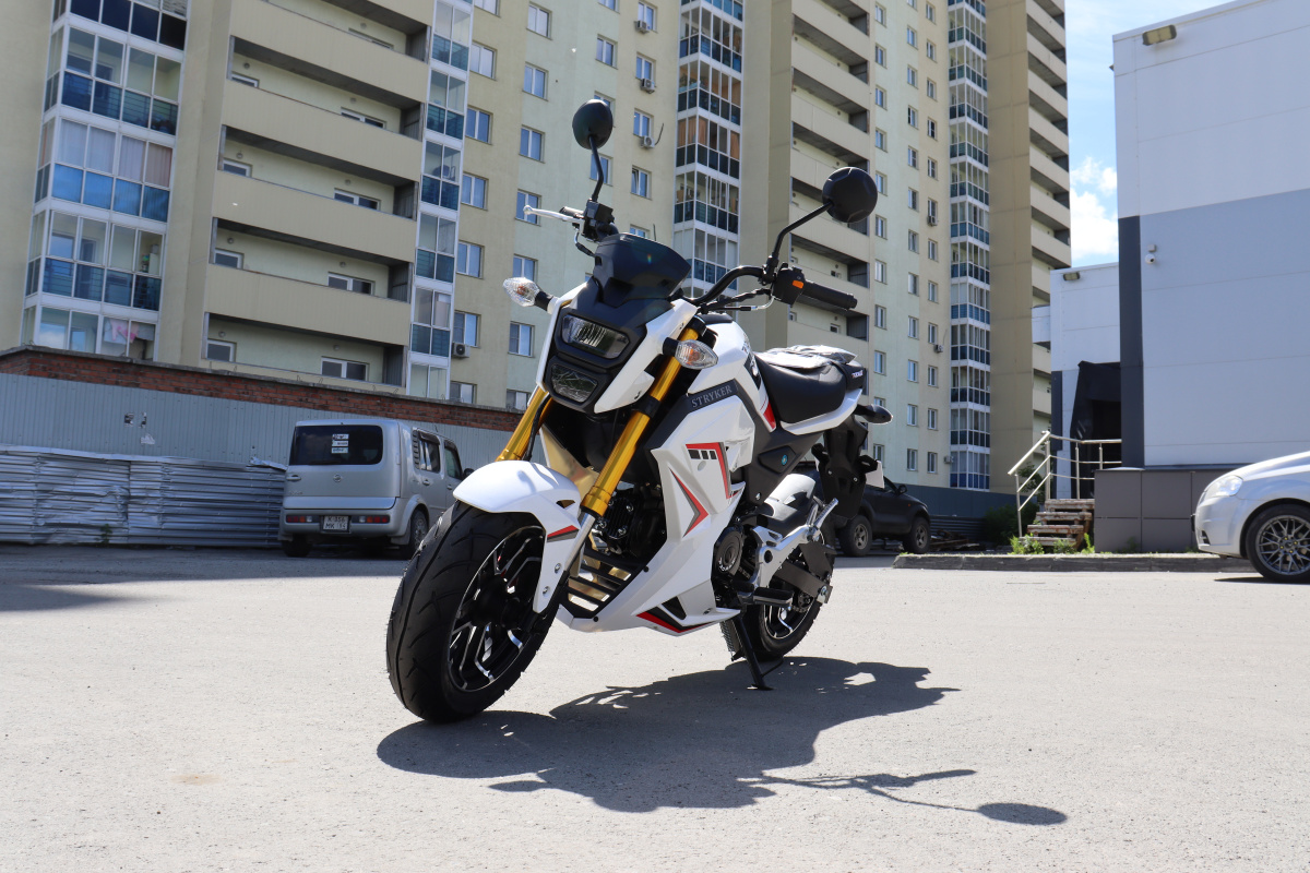 Мотоцикл PROMAX STRYKER 200(49) 2.0 в Пушкино