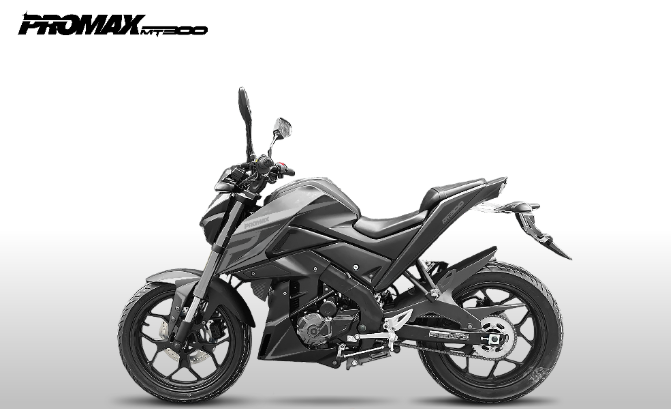 Мотоцикл PROMAX MT300 в Пушкино