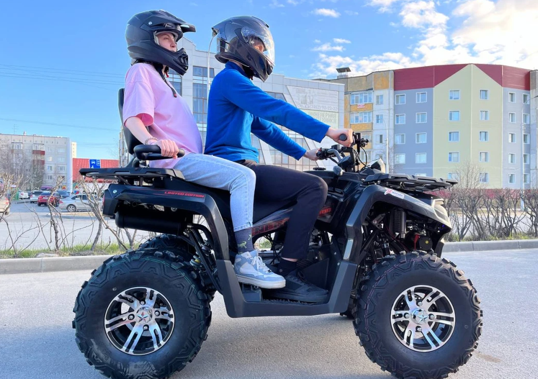 Квадроцикл PROMAX RENEGADE 300 LONG WINCH PRO (2025) в Пушкино