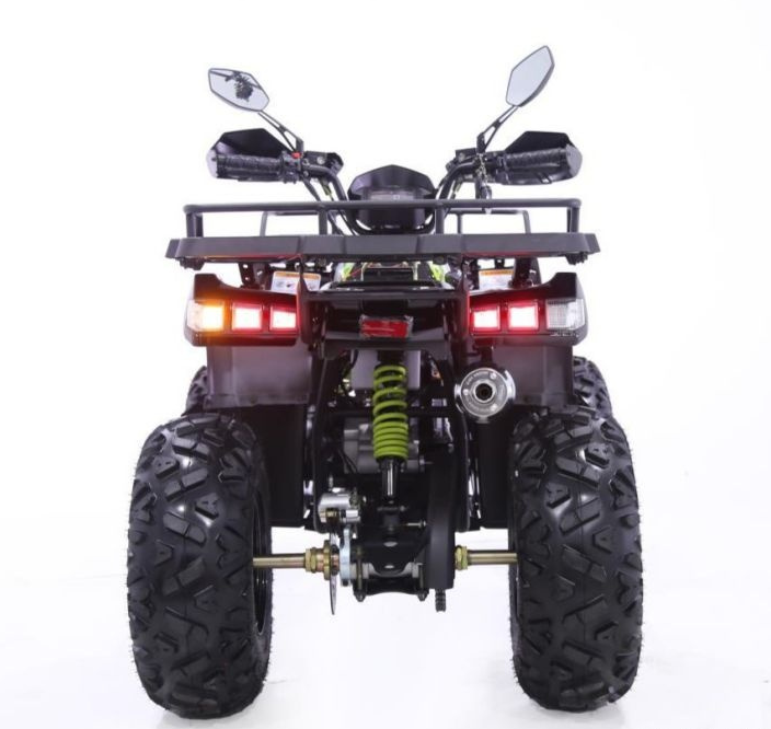 Квадроцикл YACOTA WARRIOR 200 PRO в Пушкино