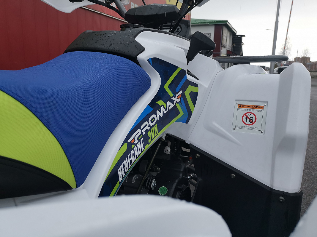 Квадроцикл PROMAX RENEGADE 280 LUX (2025) в Пушкино