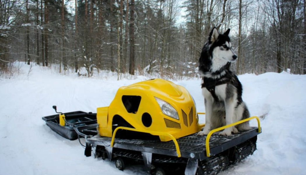 Мотобуксировщик LEBEDEV MOTORS ВОЛКОДАВ POWER V13 в Пушкино