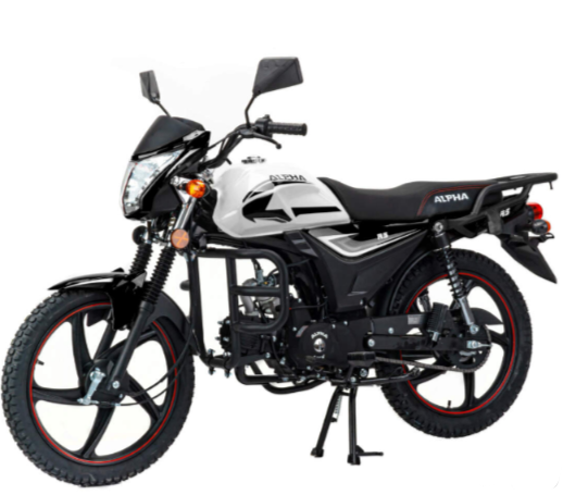 Мопед MOTOLAND (МОТОЛЕНД) Альфа RS 11 (LM48-B) в Пушкино