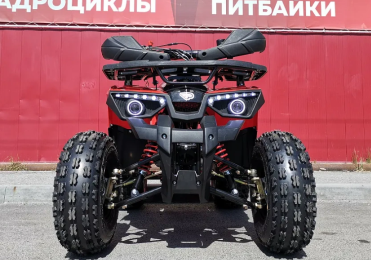 Квадроцикл PROMAX WILD 175 BASIC в Пушкино