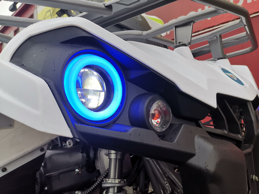 Квадроцикл PROMAX RENEGADE 280 LUX (2025) в Пушкино