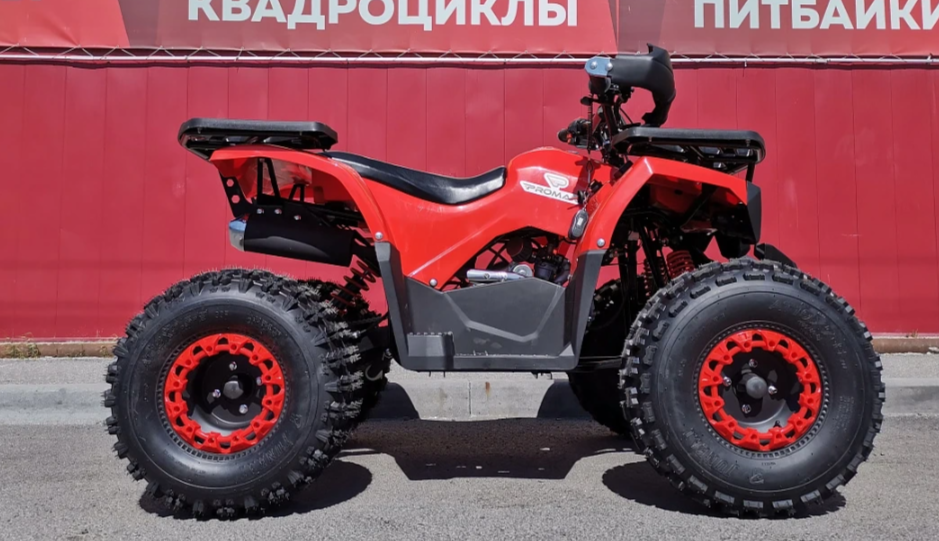 Квадроцикл PROMAX WILD 175 BASIC в Пушкино