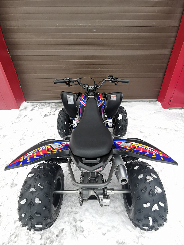 Квадроцикл PROMAX RAPTOR 300 NEW RedBull в Пушкино