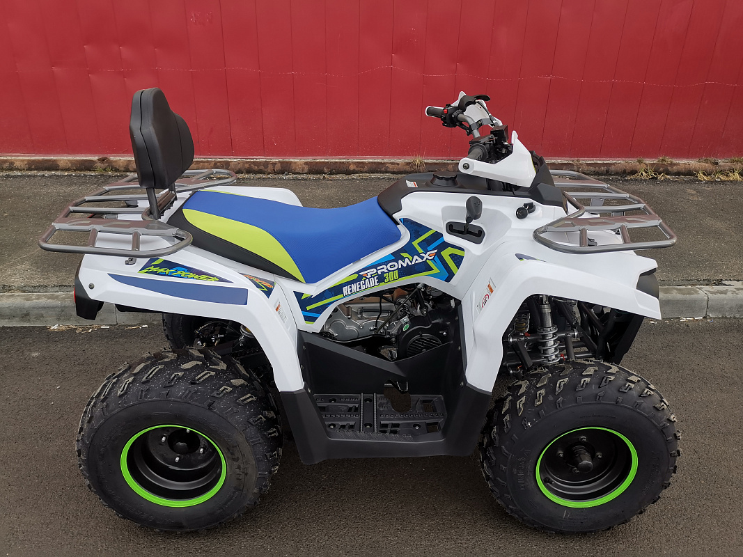 Квадроцикл PROMAX RENEGADE 280 LUX (2025) в Пушкино