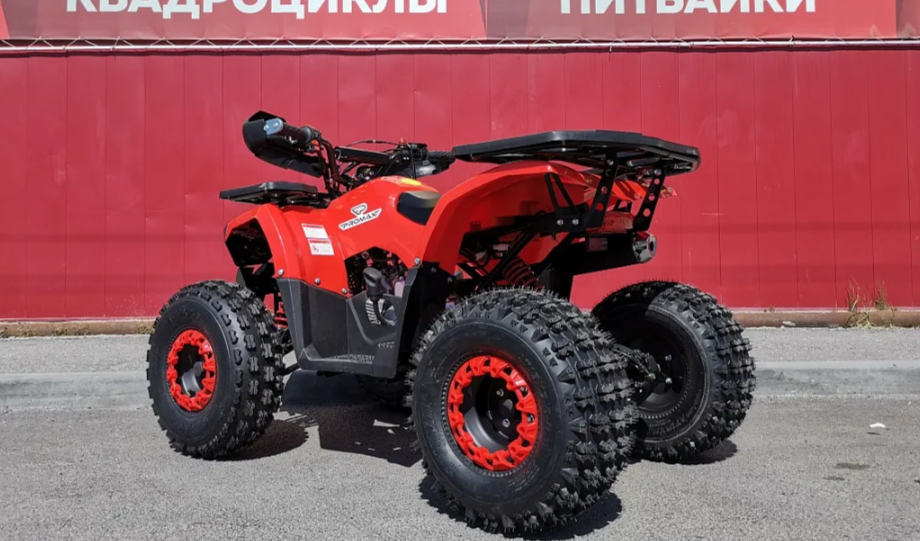 Квадроцикл PROMAX WILD 175 BASIC в Пушкино