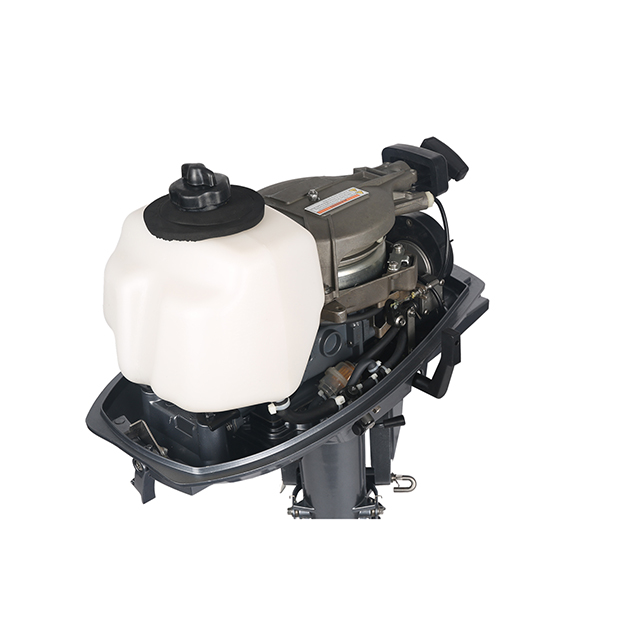 ЛОДОЧНЫЙ МОТОР ALLFA CG T5 в Пушкино