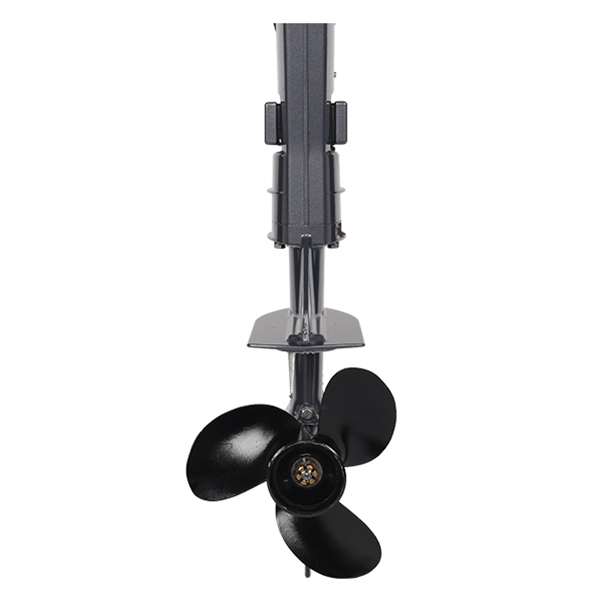 ЛОДОЧНЫЙ МОТОР ALLFA CG T5 в Пушкино