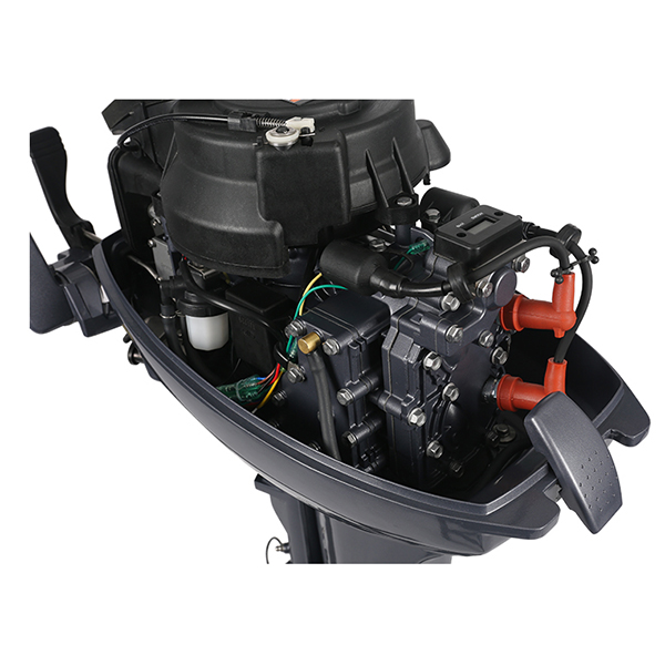 ЛОДОЧНЫЙ МОТОР ALLFA CG Т9,9 Limit в Пушкино