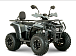 Квадроцикл YACOTA DRAGON LUX LD 150 PRO-SPORT в Пушкино