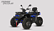 Квадроцикл PROMAX TAURUS 300 MAX-PRO LONG в Пушкино