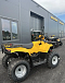 КВАДРОЦИКЛ IRBIS ATV 250  в Пушкино