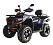 Квадроцикл MOTOLAND (МОТОЛЕНД) 300 MAX X в Пушкино