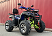  Квадроцикл PROMAX ATV 250 MAX (2025) в Пушкино