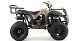 Квадроцикл MOTOLAND (МОТОЛЕНД) 200 ALL ROAD в Пушкино
