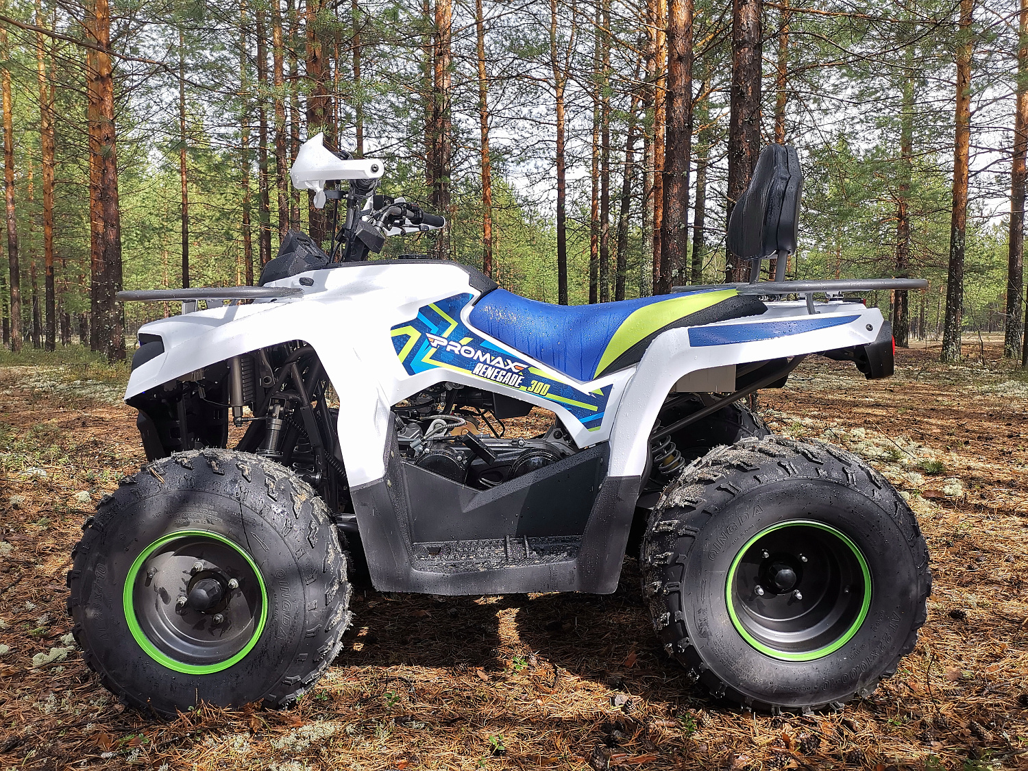 Квадроцикл PROMAX RENEGADE 280 (2025) в Пушкино