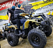 Квадроцикл PROMAX ATV 250 (2025) в Пушкино