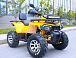 Квадроцикл MOTOLAND (МОТОЛЕНД) VOX200 WILD TRACK X PRO (баланс. вал) в Пушкино