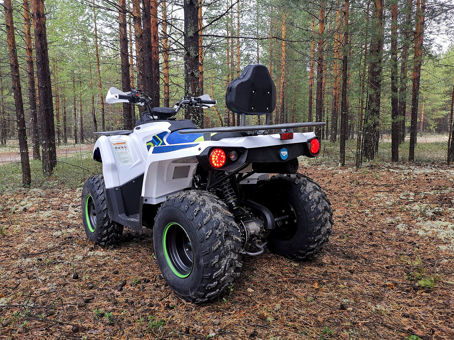 Квадроцикл PROMAX RENEGADE 280 (2025) в Пушкино