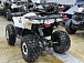 Квадроцикл PROMAX WILD 2.0 190 LUX в Пушкино