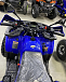 Квадроцикл PROMAX WILD 2.0 190 PRO (2025) в Пушкино