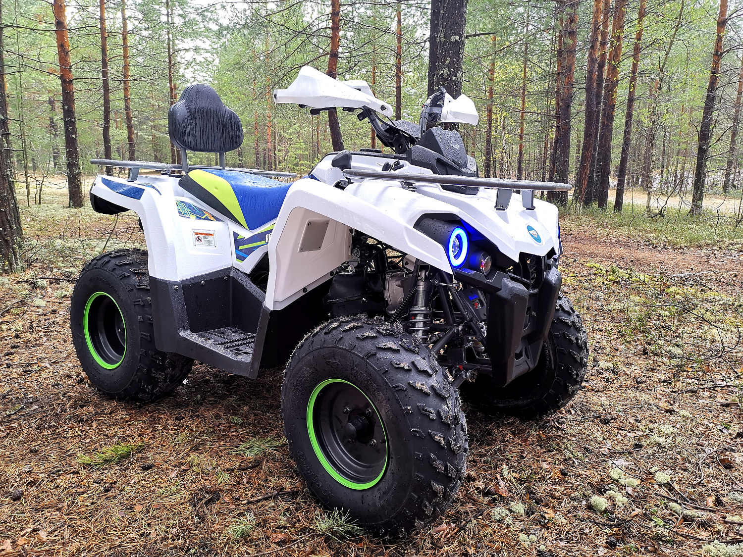 Квадроцикл PROMAX RENEGADE 280 (2025) в Пушкино