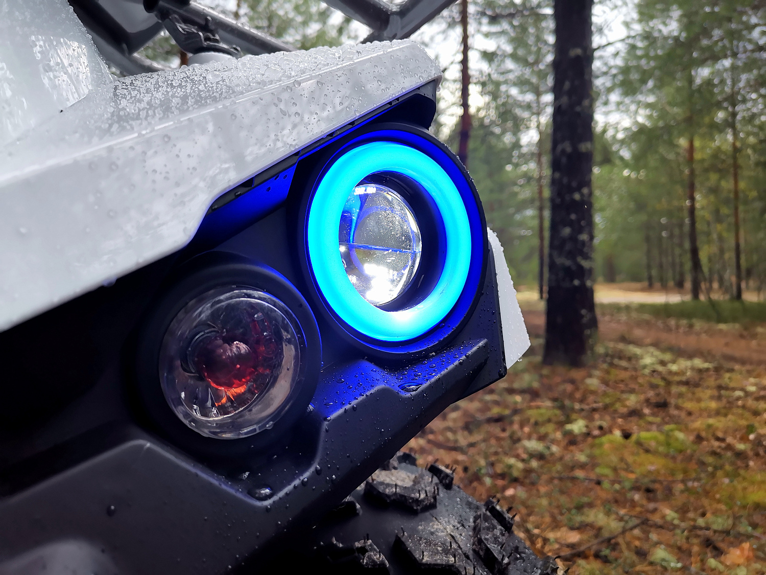 Квадроцикл PROMAX RENEGADE 280 (2025) в Пушкино